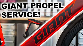 GIANT PROPEL SERVICE AND BRAKE BLEED!