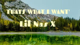 Lirik Lagu 'THATS WHAT I WANT' - Lil Nas X dan Terjemahannya