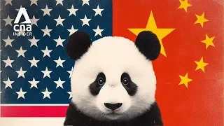 US-China Rivalry: Why America Is Losing Pandas - But It Won’t Be Forever