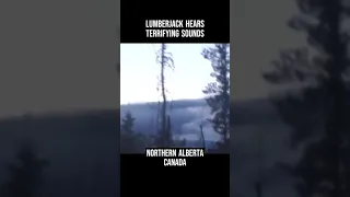 Lumberjack In Northern Alberta Hears Terrifying Noises!! BIGFOOT? #shorts #bigfoot