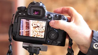Jak ostřit s živým náhledem - Live View na zrcadlovce Canon 6D Mk II a bezzrcadlovce Sony A7 III