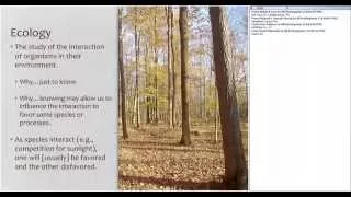 An Introduction to Northeastern Forest Ecology