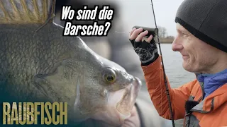 Angeln unterwasser (3): Das Barsch-Desaster!