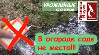 Гоните соду с огорода! Очередные косяки блогеров на огородную тематику!