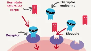 Como atuam os disruptores endócrinos?