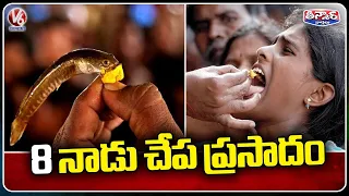 Fish Medicine Distribution Begins On June 8  Nampally Exhibition Grounds |  V6 Teenmaar