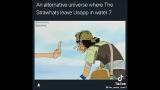 If luffy left Usopp in water 7