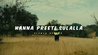 Nanna Preeti Sulalla ( Slowed + Reverb ) | Soul Vibez