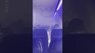 DRAMATIC: Plane fills with smoke after bird strike #shorts