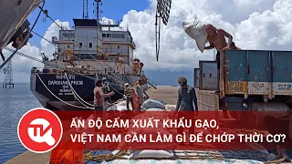 Ấn Độ cấm xuất khẩu gạo, Việt Nam cần làm gì để chớp thời cơ? | Truyền hình Quốc hội Việt Nam