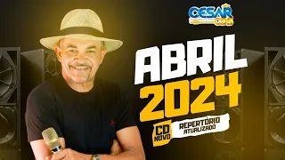 CHIKINHO DO FORRO - AS MELHORES ABRIL 2024 @cesarcdsoficial