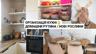 ОРГАНІЗАЦІЯ КУХНІ 👌Зберігання в холодильнику / нові рослини / прибирання