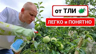 ТЛЯ НА УЧАСТКЕ ?  ЛЕГКО И ПОНЯТНО ОТ НЕЕ ИЗБАВИТЬСЯ !