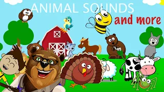 Animal sounds | + More Nursery Rhymes and Songs for Kids