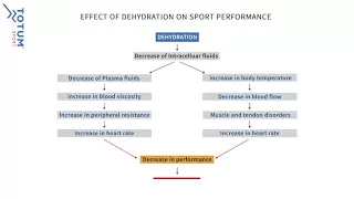 The Effect Of Dehydration on Sports Performance