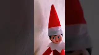 ELF ON THE SHELF  ЭЛЬФ НА ПОЛКЕ