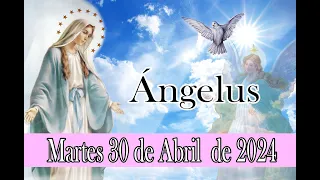 ANGELUS DE HOY MARTES 30 DE ABRIL DE 2024   ORACION DE MEDIO DIA