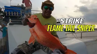 Strike Flame Tail Sniper, Ruby Sniper, Dogtooth Tuna | MANCING MANIS STRIKE BACK (03/06/23) Part 2