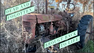 Farmall super c resurrected from its grave!