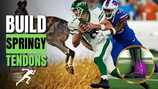 How to Transform Your Tendons into Explosive Springs like a Kangaroo | ATHLETIC CHEAT CODE
