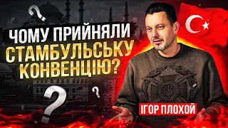 Чому ж прийняли Стамбульську конвенцію?