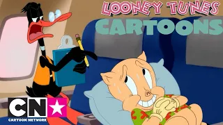 Le dis-avventure di Daffy Duck e Porky! | Looney Tunes Cartoons | Cartoon Network