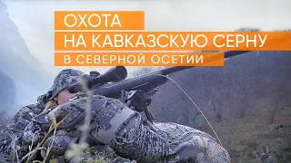 Охота на Кавказскую Серну в Северной Осетии!