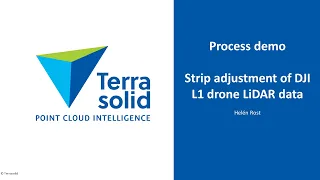 Strip adjustment of DJI L1 UAV LiDAR data