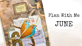 Plan with Me JUNE/Getting Organized In MyJunk Journal Planner/New Digital Kit!/Book Reviews