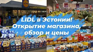 Открытие немецкого магазина Lidl в Эстонии.Обзор магазина Лидл в Таллинне.Цены на товары.Влог