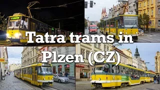 Trams in Plzen (CZ)