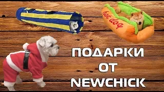 Чернорыж счастлив! Большая распаковка посылки от NEWCHICK