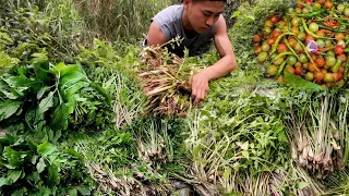 Lots of wild vegetables from the tropical forests/Nagaland village life @nagalocalproduction