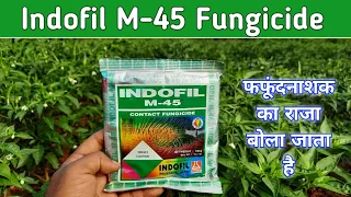 Indofil M45 fungicide use in hindi details information