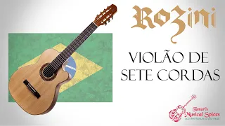 Rozini - Violão de sete cordas -  רוזיני - גיטרה 7 מיתרים דלוקס