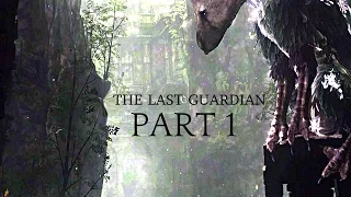 The Last Guardian WALKTHROUGH PART 1 PS4 PRO HD NO COMMENTARY