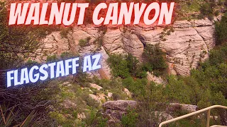 Walnut Canyon National Monument  -  Flagstaff AZ