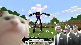 Coffin Meme but Cat is Vibing Part 6 - Minecraft