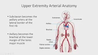 Upper Extremity Arterial Duplex by Esther S.H. Kim, M.D., MPH, RPVI