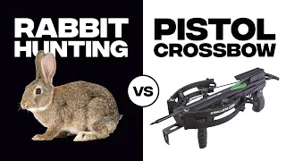 RABBIT BOWHUNTING With Ballista BAT Pistol Crossbow