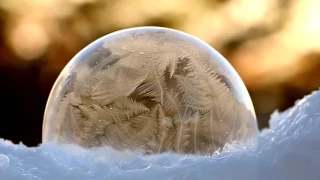 Bubbles Freezing in Slow Motion