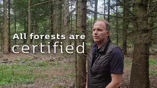 HD Forest - Investment in Baltic Forestry