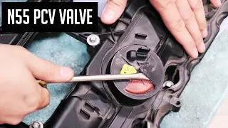 BMW N55 Squealing Noise Fix DIY