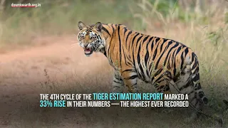 Tiger Census 2018: Explained in two minutes