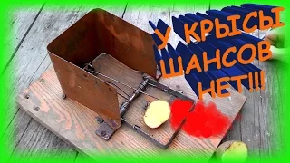 Как избавиться от крыс, очень надежный способ ✔