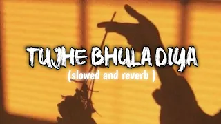 tujhe bhula diya (slowed and reverb) arijit singh lofi mix @DILNAWAJ_77