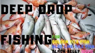 INSANE Deep Dropping Fishing for Golden Tile Fish, Blue Line Tile Fish and Black Belly Rosefish