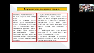 Андрей Николаев Лесные пожары как часть экологической проблемы