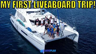 My First Liveaboard Trip | Apo Reef, Philippines 🇵🇭