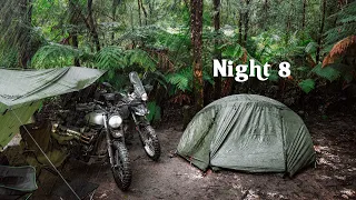 Camping from my Motorcycle in a Rainforest | Nature ASMR | Not Solo